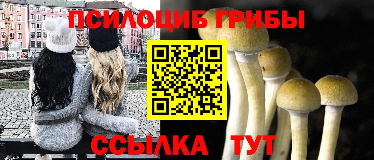 Псилоцибиновые грибы прущие грибы  Вход с VPN  Горно-Алтайск 